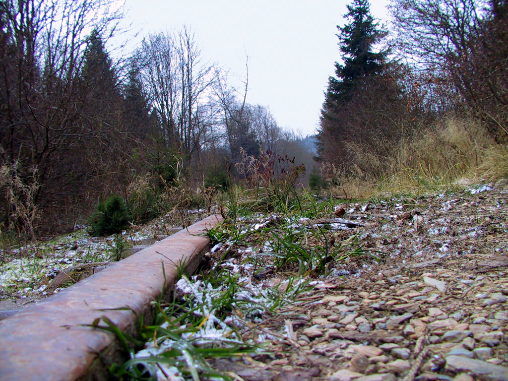 [Old railway track in the woods. JMJ.   Canon powershot Pro 90. Digital camera Canon powershot Pro 90]