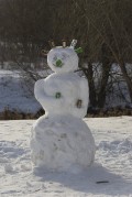 [современный снеговик. Цифровая фотокамера Nikon D200]