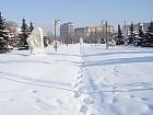 [Дорога в парк искусств в морозный зимний день. Цифровая фотокамера Sony DSC-F717]